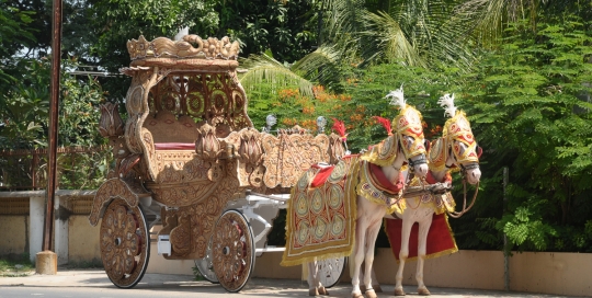 NATURAL KALASH BAGI by Malataj Bagiwala Anand