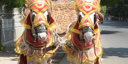NATURAL KALASH BAGI by Malataj Bagiwala Gujarat