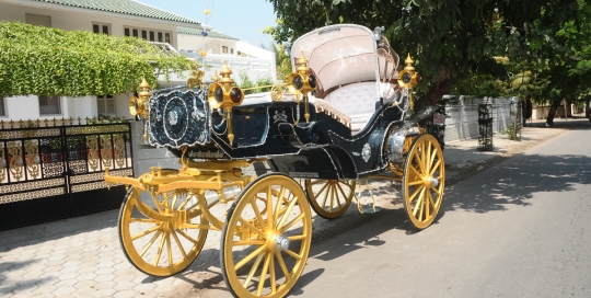 VINTAGE VICTORIA BAGI by Malataj Bagiwala Gujarat