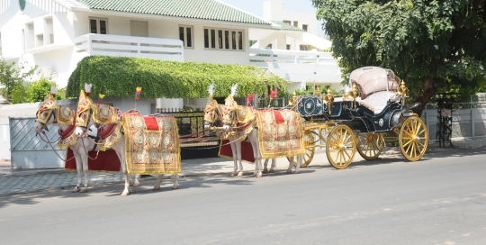VINTAGE VICTORIA BAGI by Malataj Bagiwala Anand