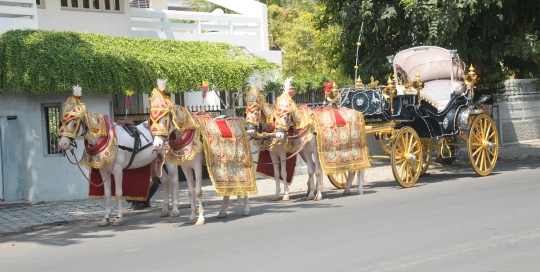 VINTAGE VICTORIA BAGI by Malataj Bagiwala Gujarat