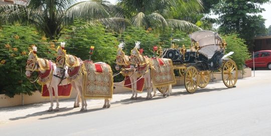 VINTAGE VICTORIA BAGI by Malataj Bagiwala Anand