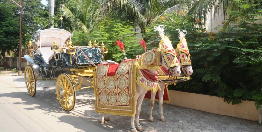VINTAGE VICTORIA BAGI by Malataj Bagiwala india