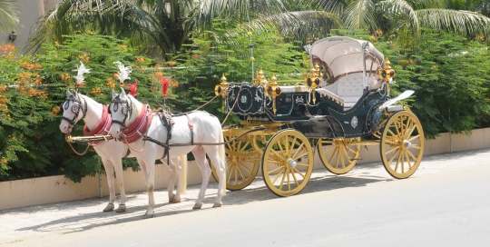 VINTAGE VICTORIA BAGI by Malataj Bagiwala Gujarat