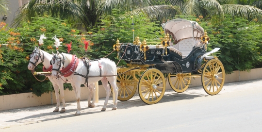 VINTAGE VICTORIA BAGI by Malataj Bagiwala India