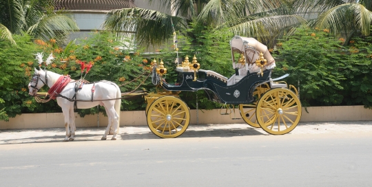 VINTAGE VICTORIA BAGI by Malataj Bagiwala Gujarat
