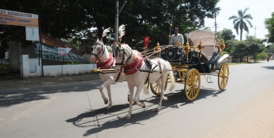 VINTAGE VICTORIA BAGI by Malataj Bagiwala