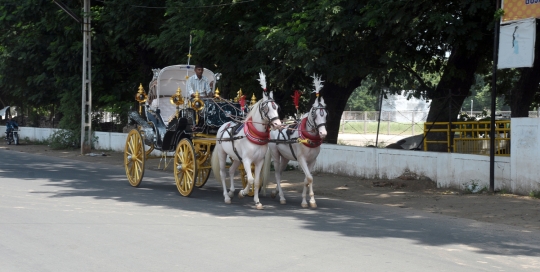 VINTAGE VICTORIA BAGI by Malataj Bagiwala Anand