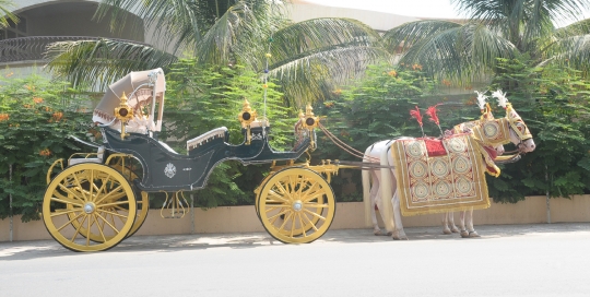 VINTAGE VICTORIA BAGI by Malataj Bagiwala Gujarat