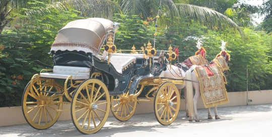 VINTAGE VICTORIA BAGI by Malataj Bagiwala
