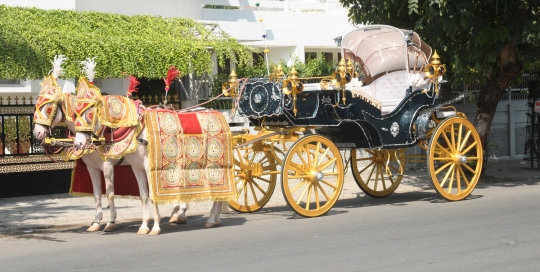 VINTAGE VICTORIA BAGI by Malataj Bagiwala