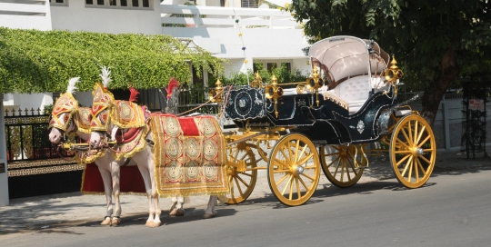 VINTAGE VICTORIA BAGI by Malataj Bagiwala Anand