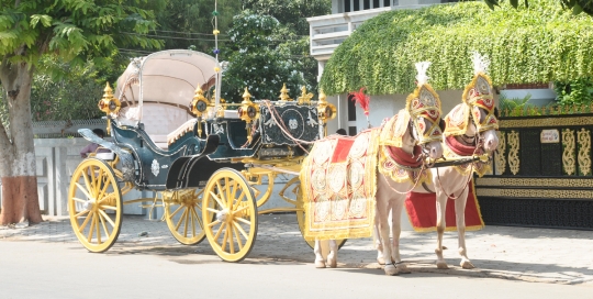 VINTAGE VICTORIA BAGI by Malataj Bagiwala India