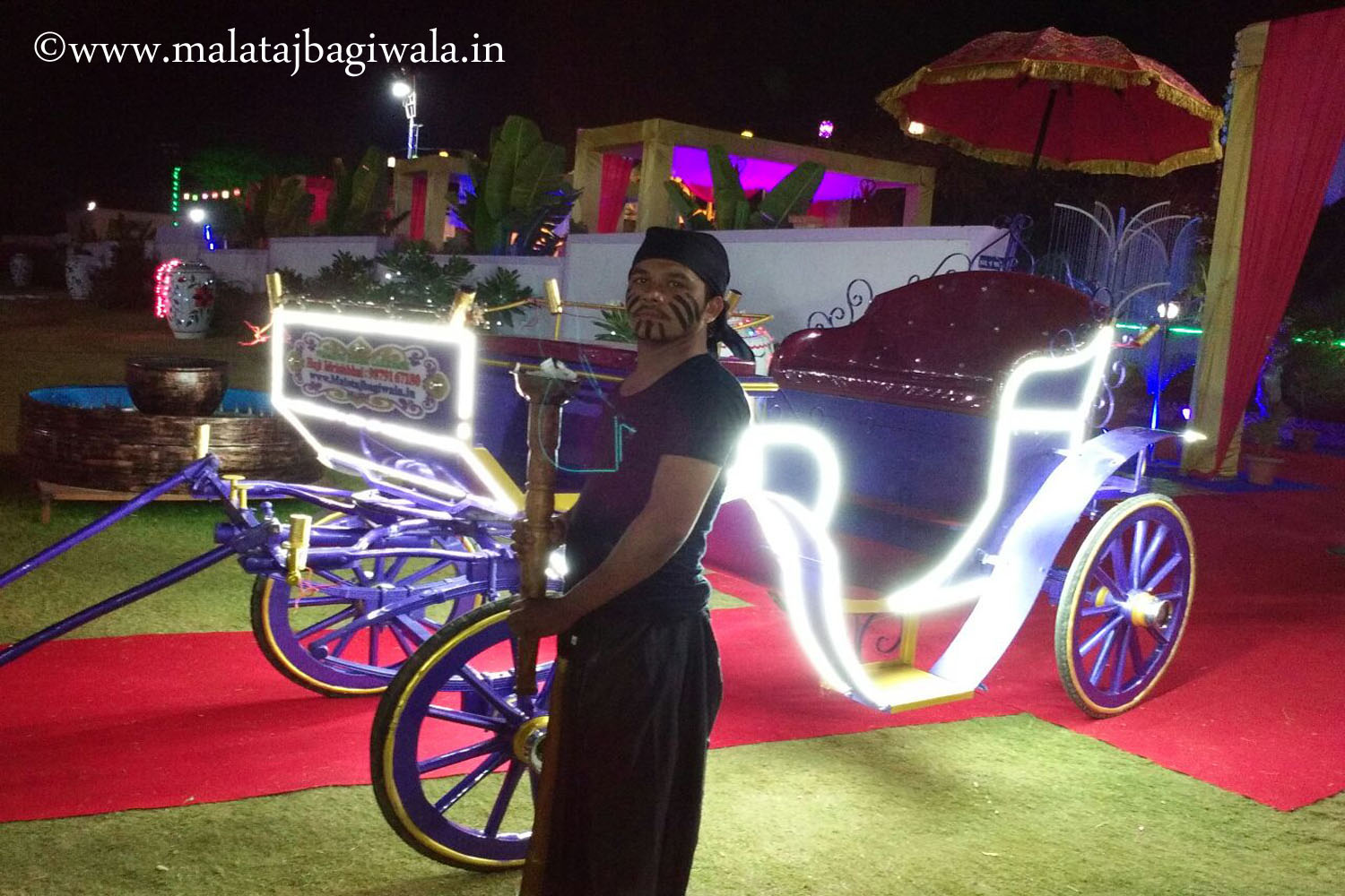 Doli Bagi horse bagi photo 3 - Anand Gujarat