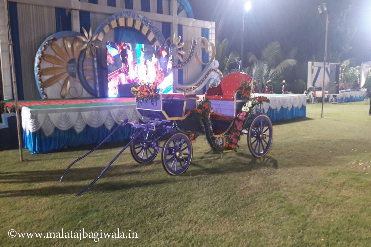 Doli Bagi horse bagi photo 2 - Anand Gujarat