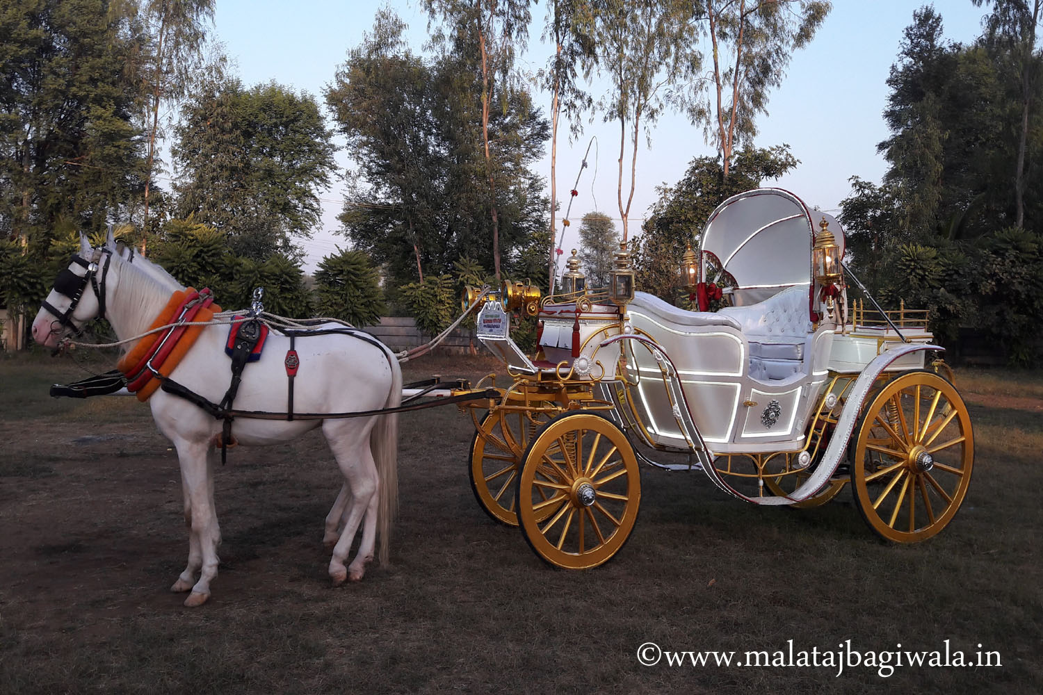 Kohinoor 1 Bagi horse bagi photo 2 - Anand Gujarat