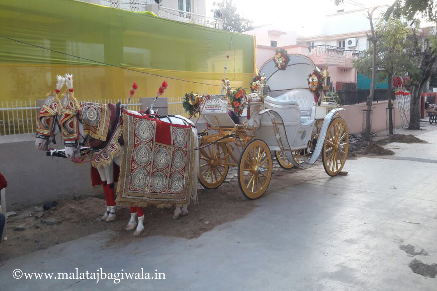 Kohinoor 1 Bagi - horse bagi wedding carriage hire Anand Gujarat