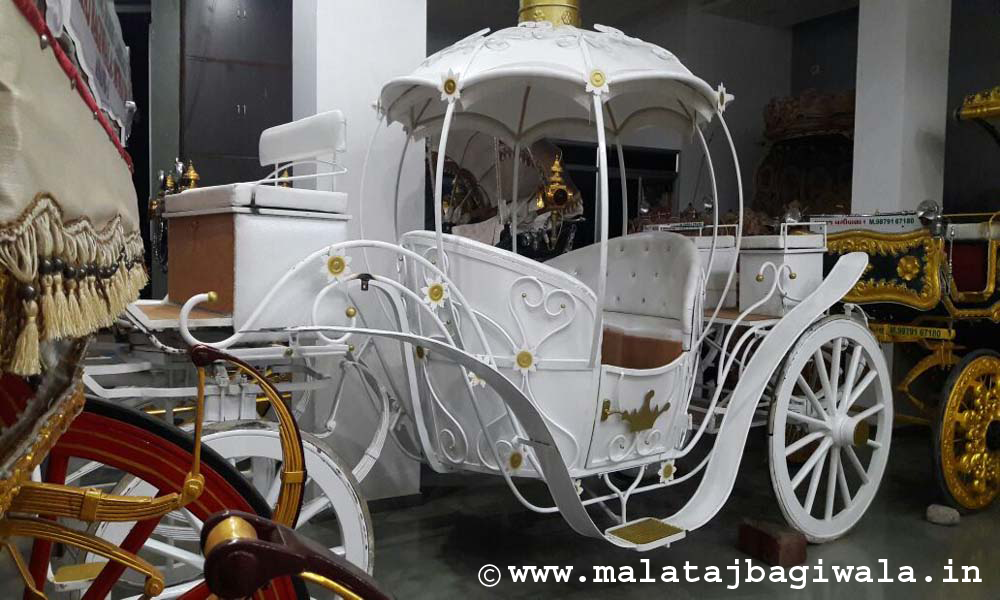 Kohinoor 2 Bagi horse bagi photo 3 - Anand Gujarat