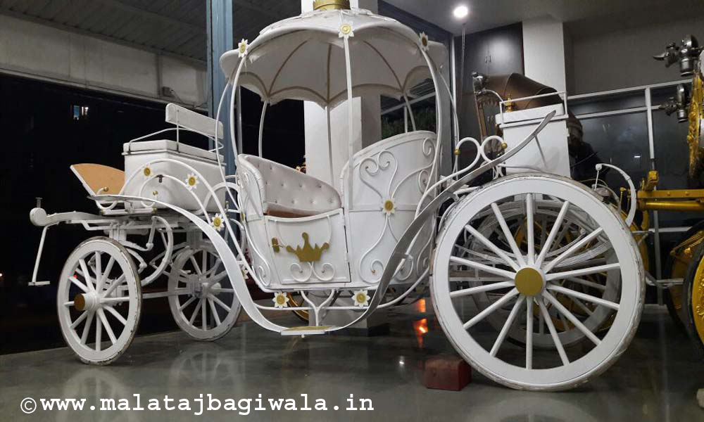 Kohinoor 2 Bagi horse bagi photo 1 - Anand Gujarat