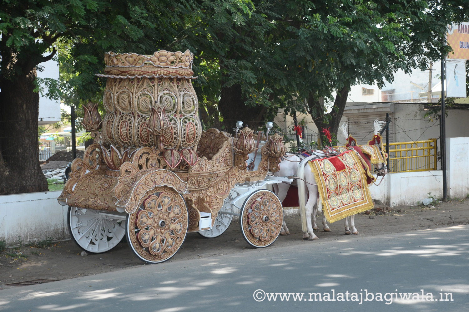 Natural Kalash Bagi horse bagi photo 2 - Anand Gujarat