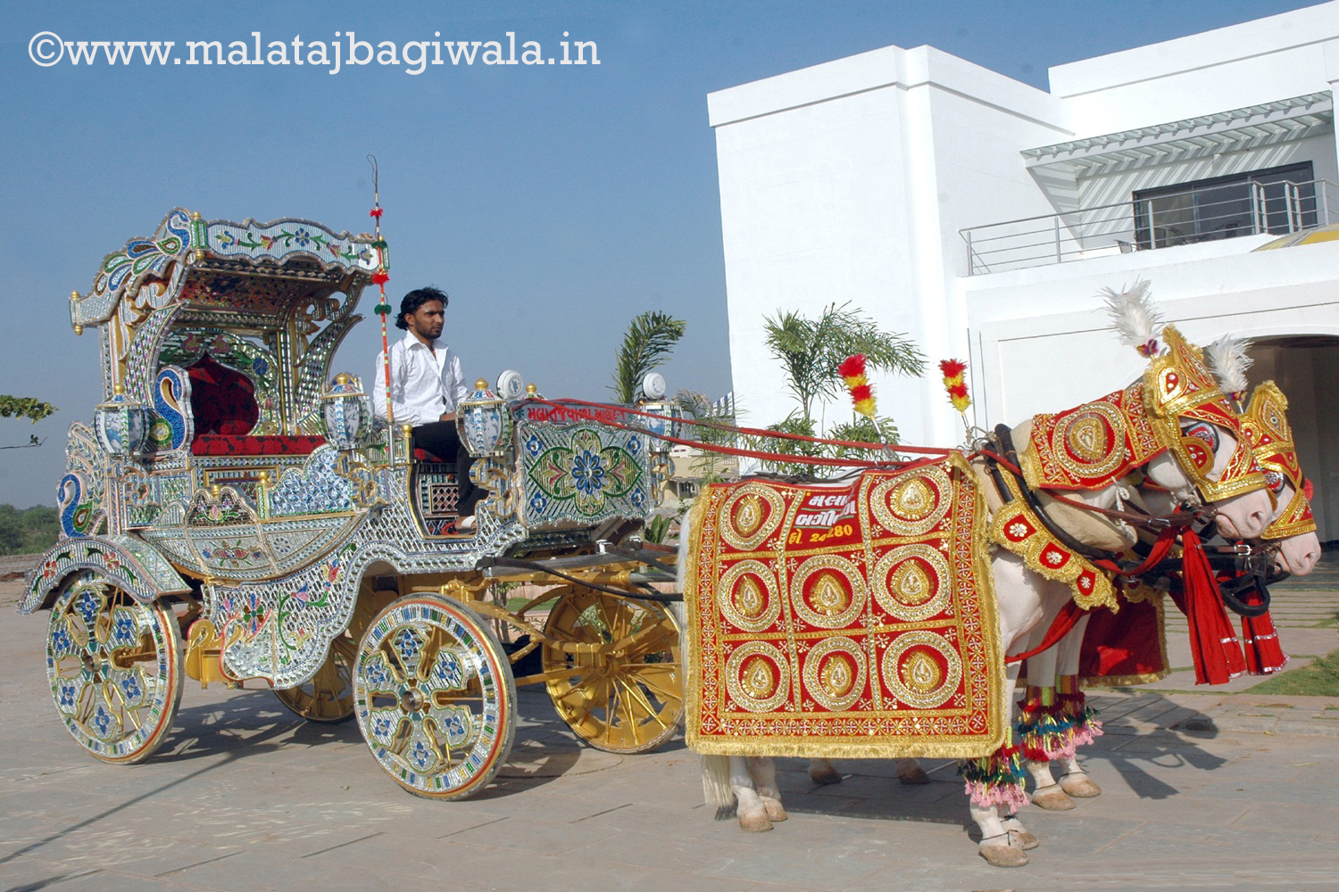 Navrang Mirror Bagi - horse bagi wedding carriage hire Anand Gujarat