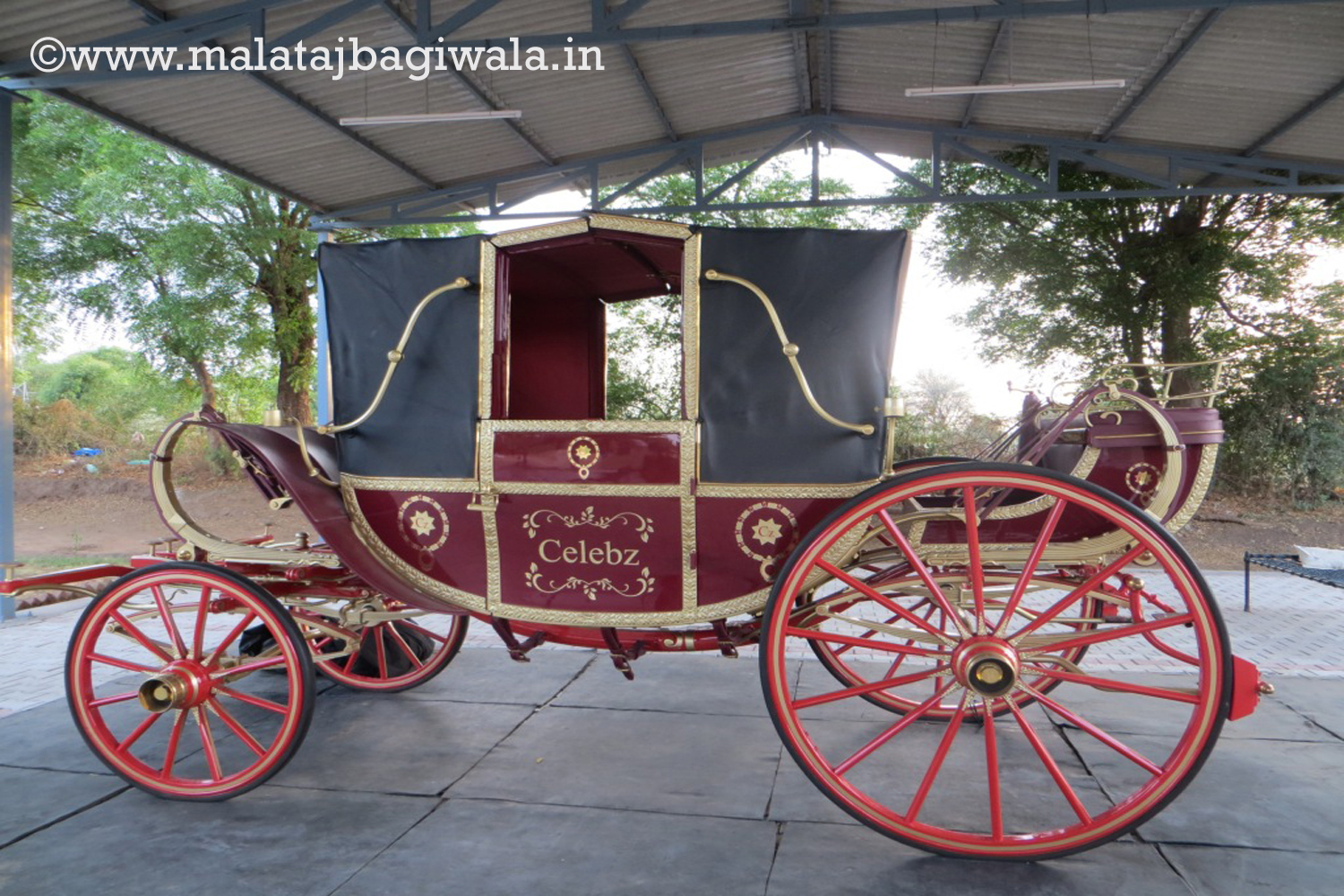 Other Bagi - horse bagi wedding carriage hire Anand Gujarat