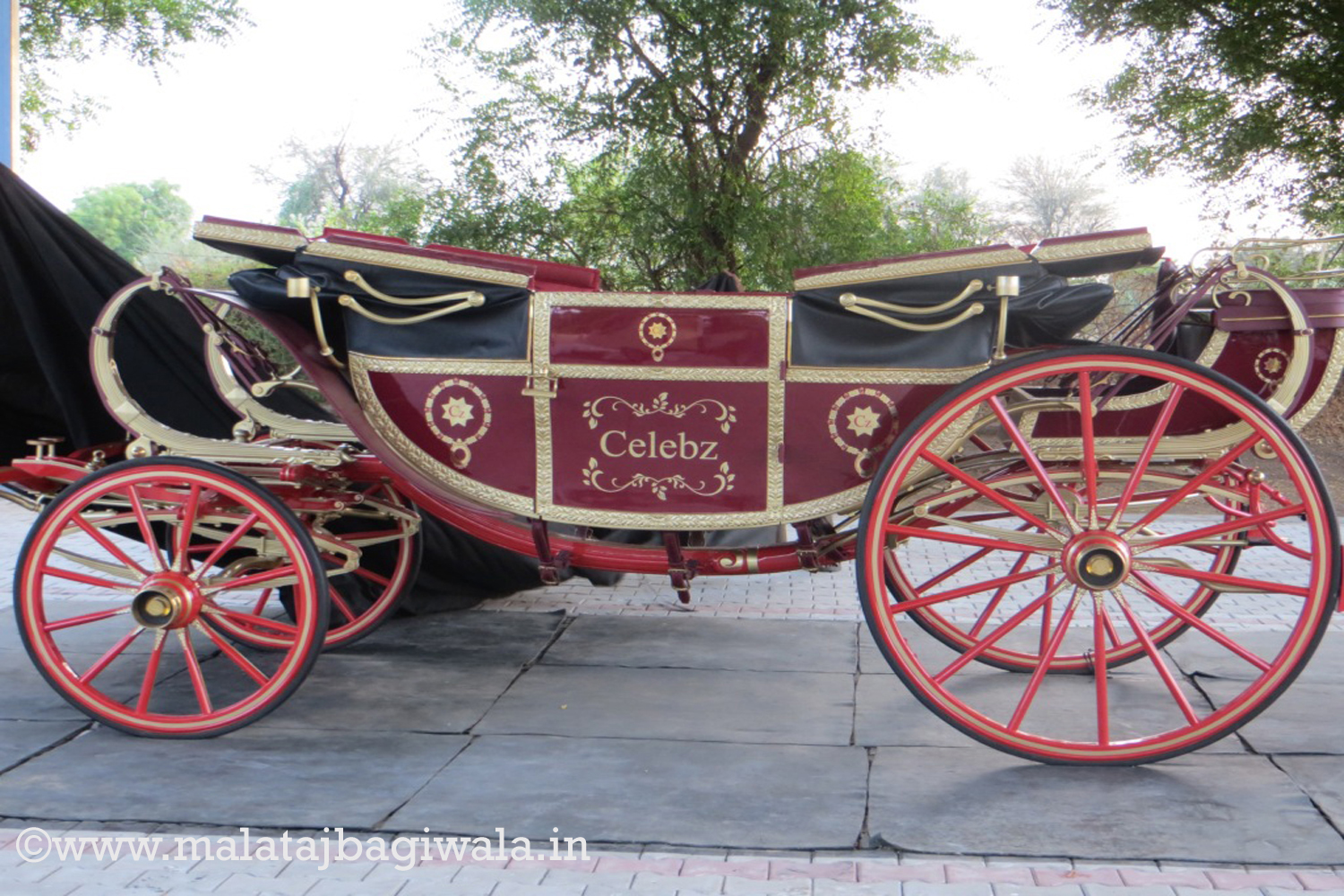 Other Bagi horse bagi photo 2 - Anand Gujarat