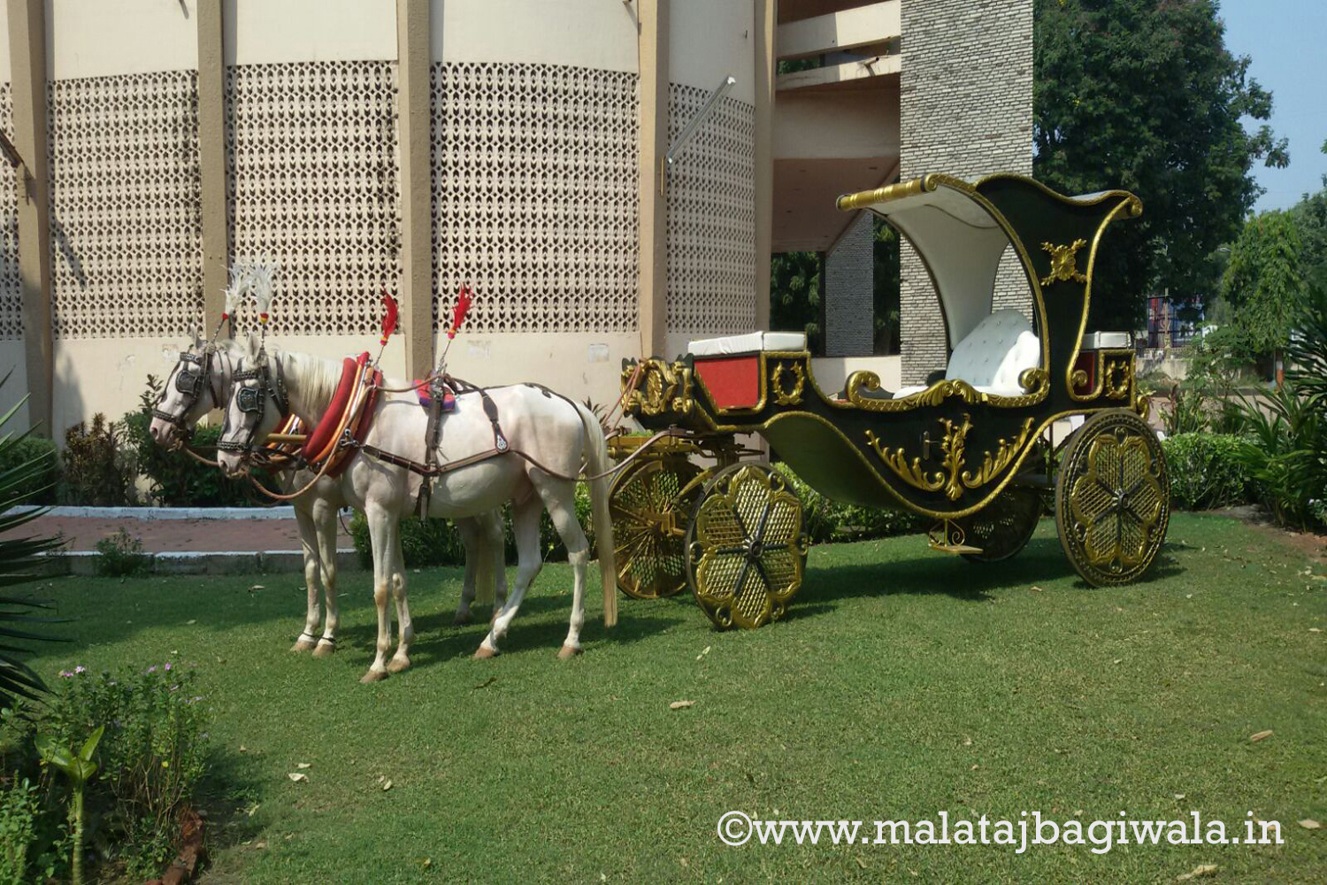 Patiala Green Bagi - horse bagi wedding carriage hire Anand Gujarat