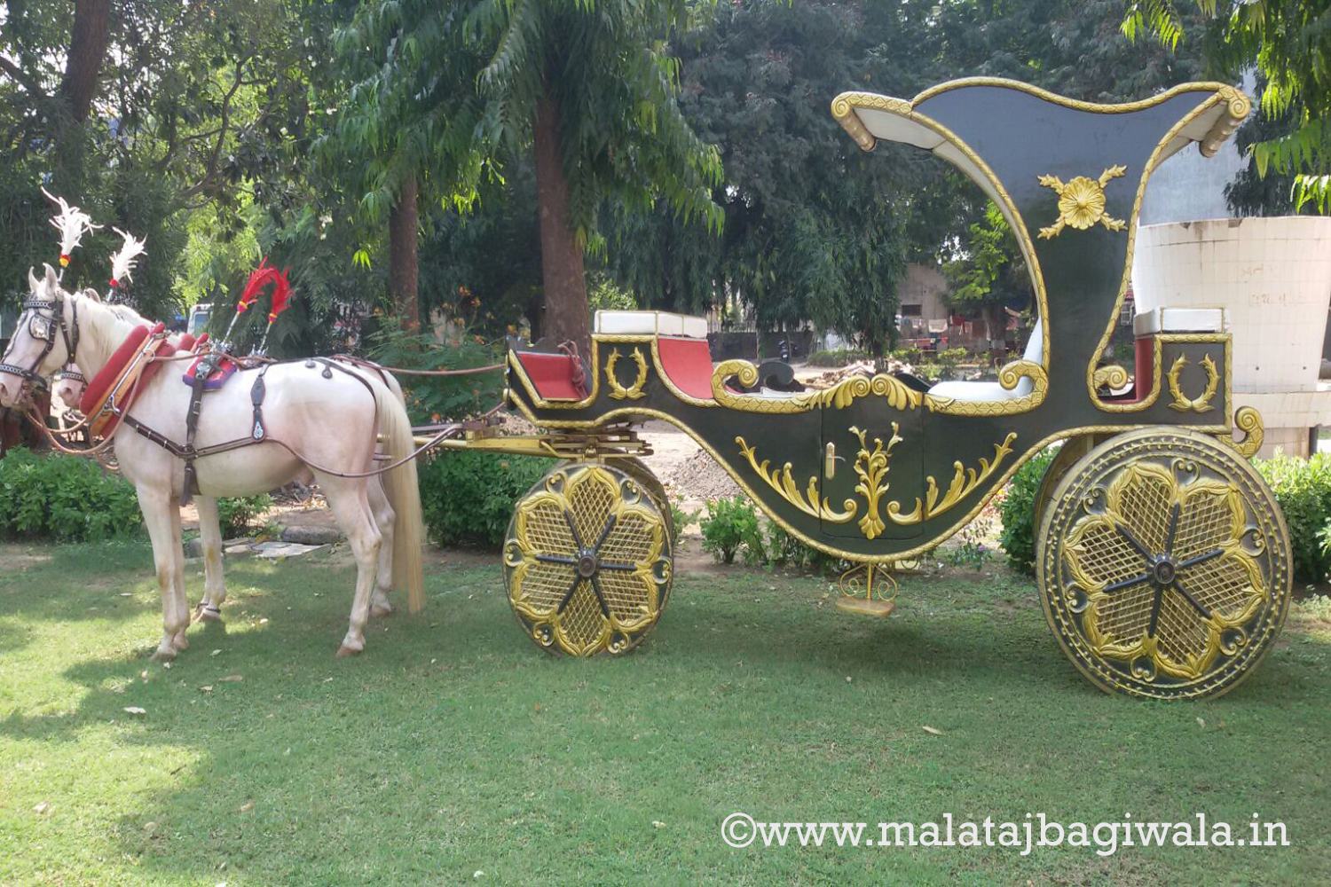 Patiala Green Bagi horse bagi photo 2 - Anand Gujarat
