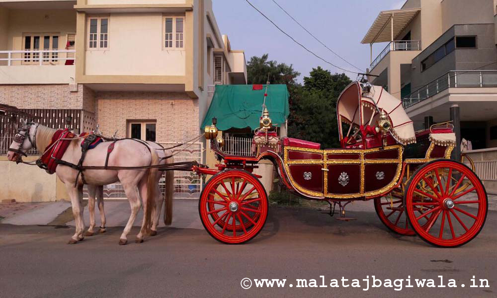 British Royal Bagi horse bagi photo 2 - Anand Gujarat