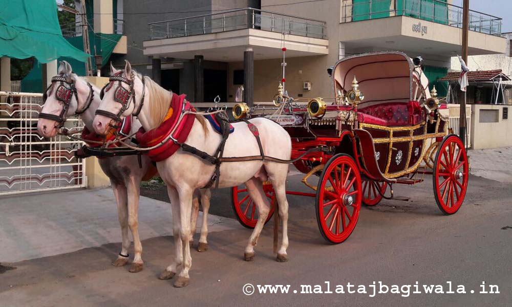 British Royal Bagi - horse bagi wedding carriage hire Anand Gujarat