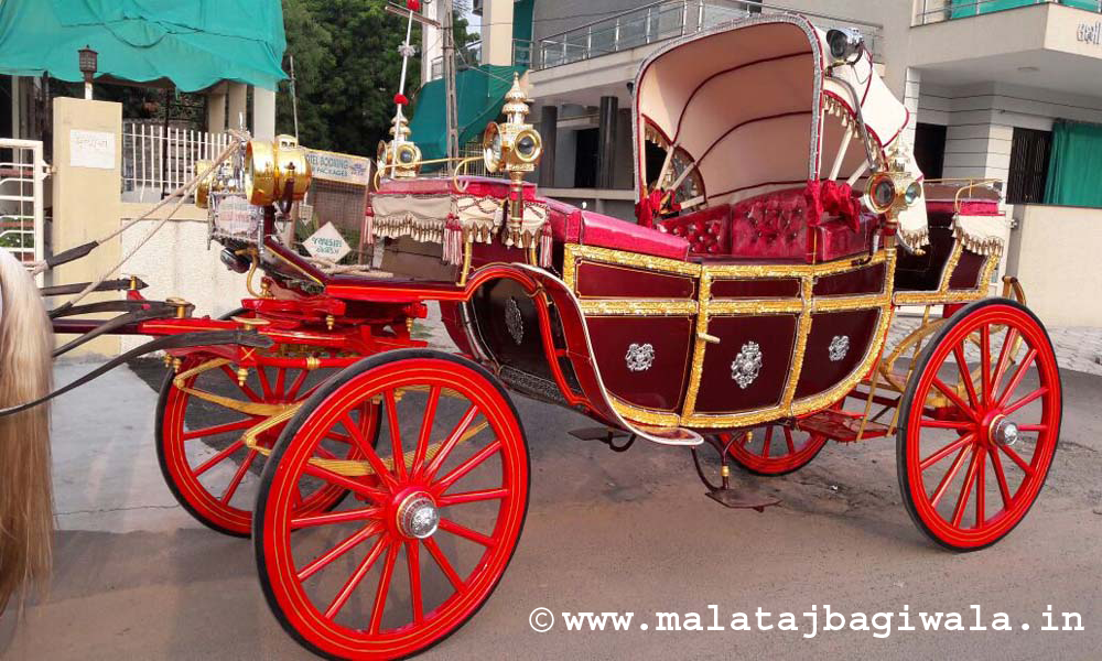British Royal Bagi horse bagi photo 3 - Anand Gujarat