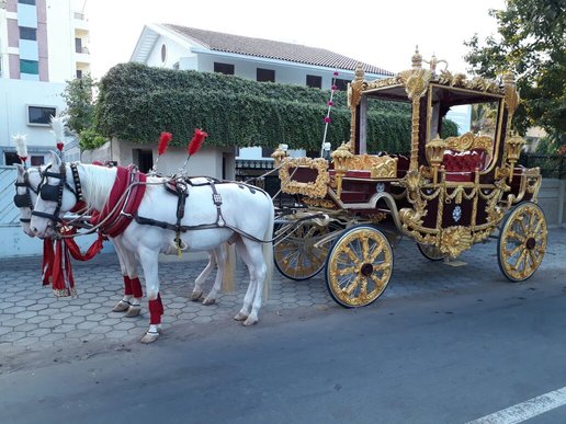 Royal Maharaja Bagi - horse bagi wedding carriage hire Anand Gujarat