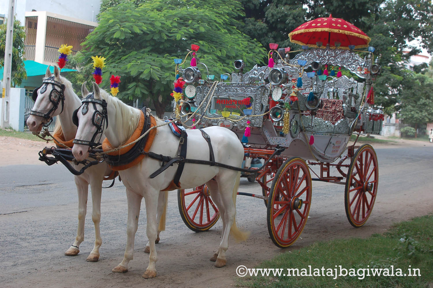 Silver Bagi - horse bagi wedding carriage hire Anand Gujarat