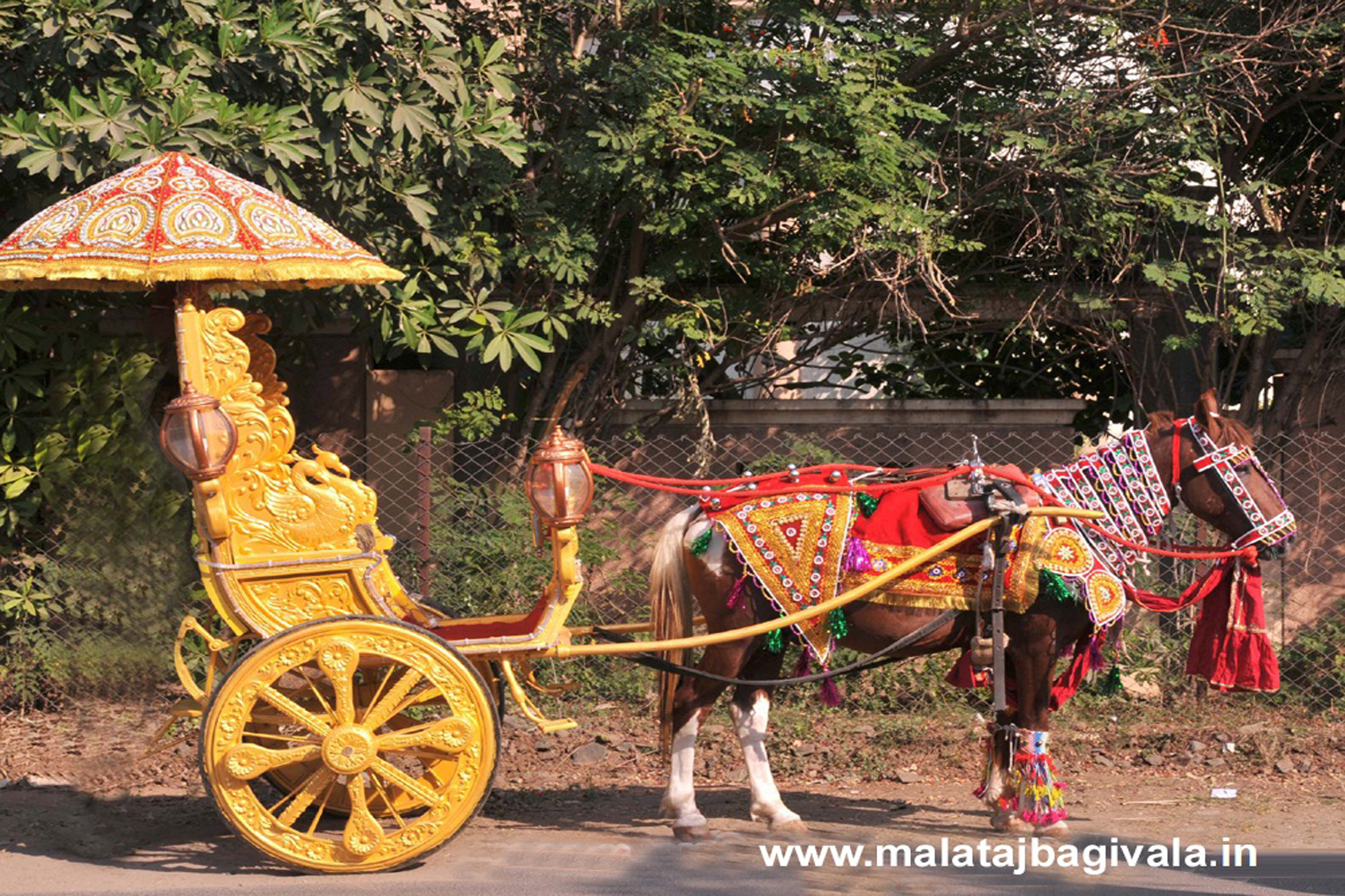 Single Mini Horse Bagi - horse bagi wedding carriage hire Anand Gujarat